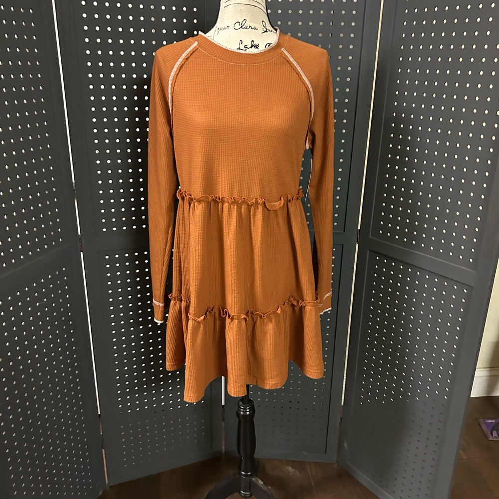 Style Envy Rust Long Sleeve Dress